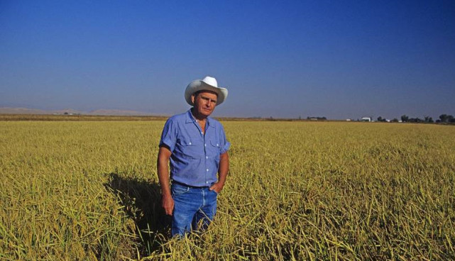 16年前，西方集体做空中国粮食，如果没有袁隆平，我们早就输了