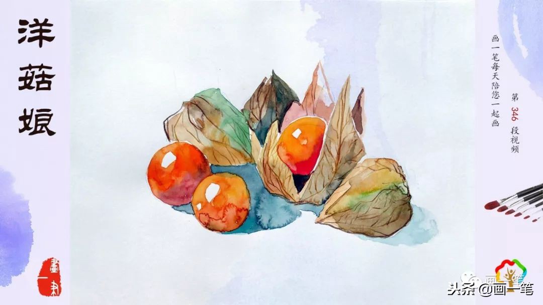 彩铅画画芒果,彩铅画画昆虫