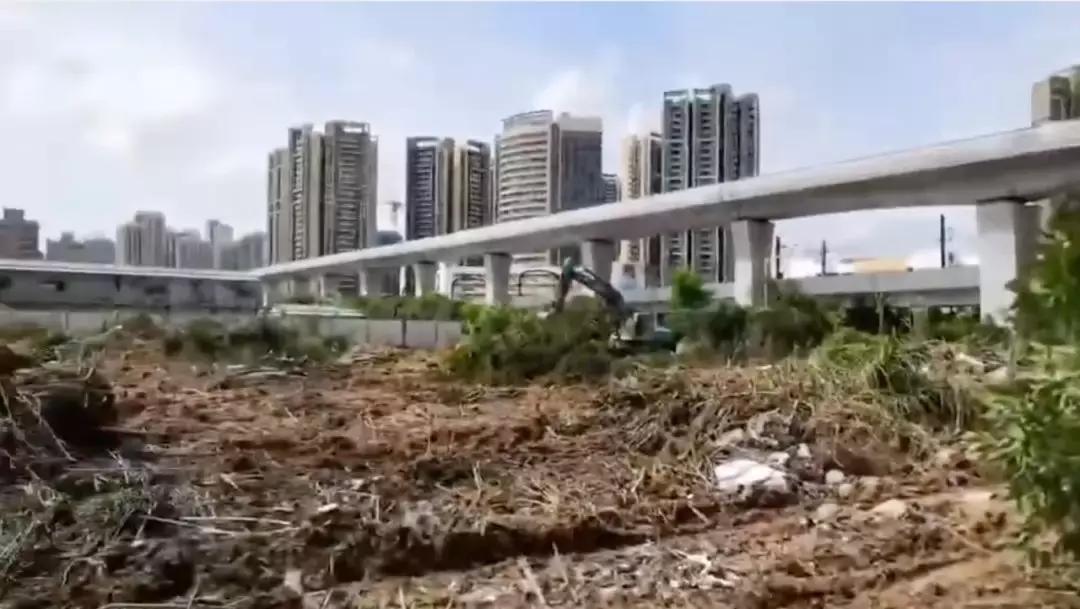 后红山时代,深圳龙华红山和上塘