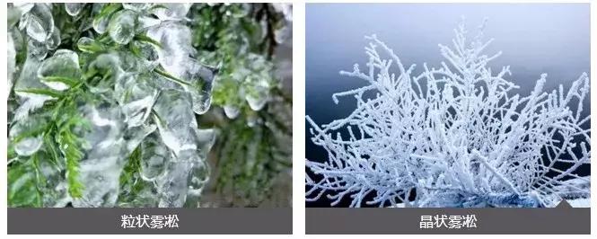 雾凇之美宛若仙境,连云港花果山雾凇美得像仙境