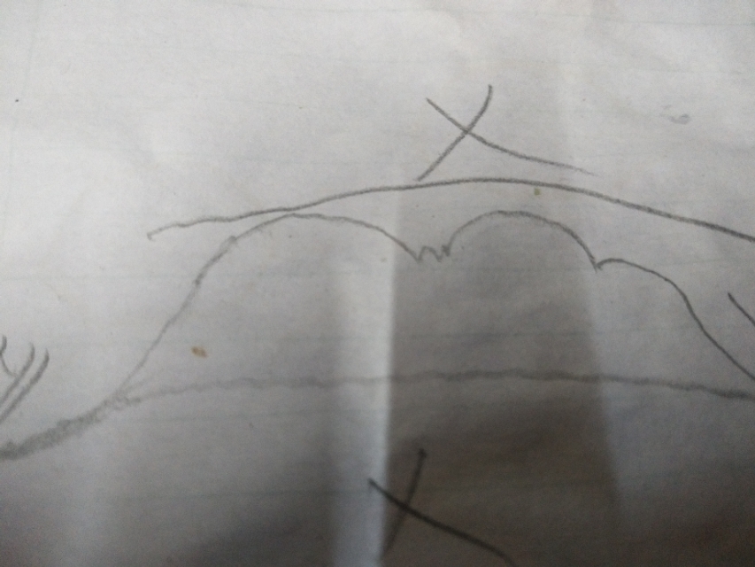 雕刻荷叶教程,雕刻荷叶的制作方法和工具