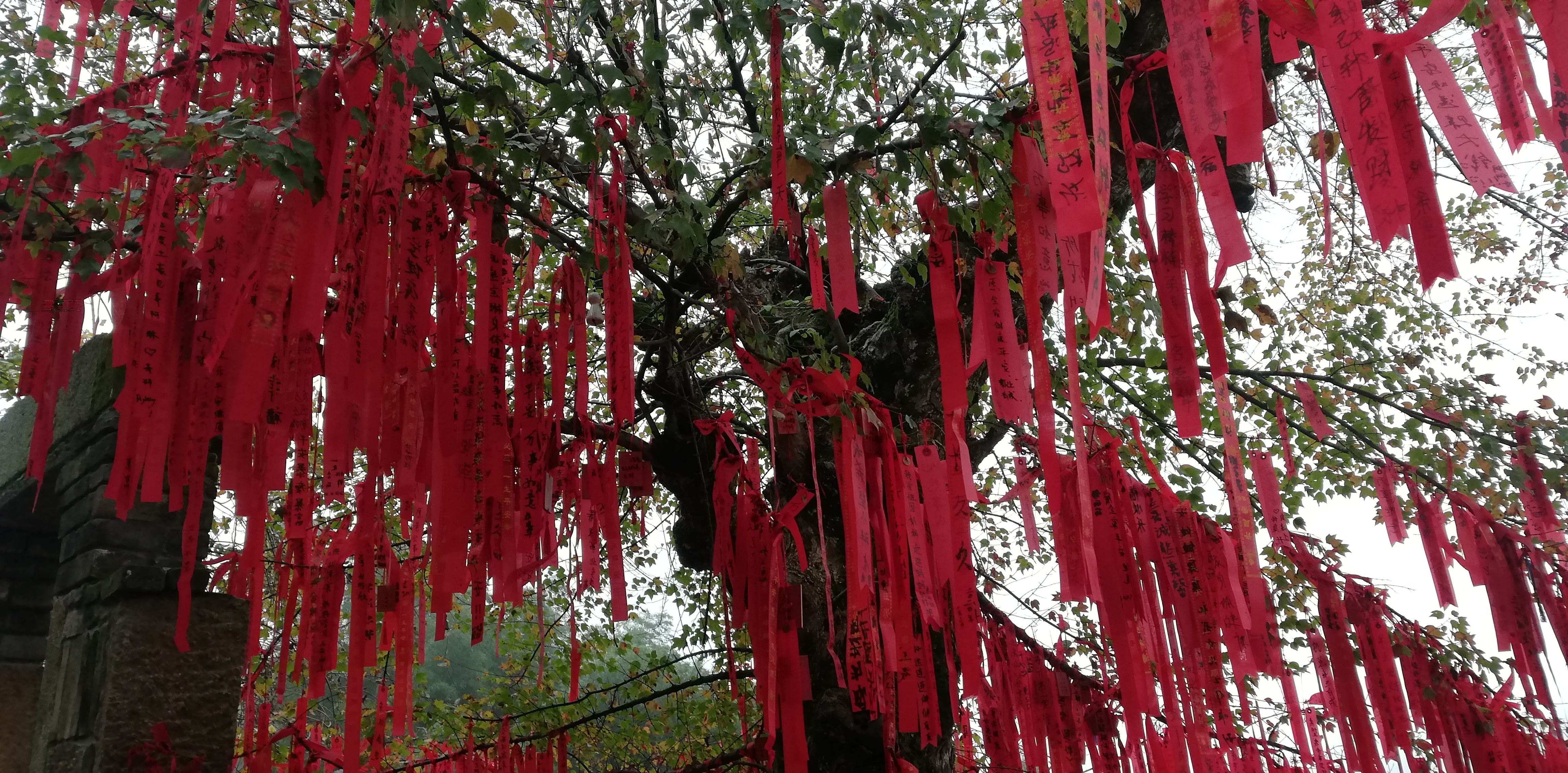 南昌梅岭溪谷秘境,南昌梅岭秘境