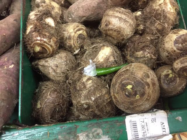 去迪拜旅游看什么东西,去迪拜旅游看到哈利法塔