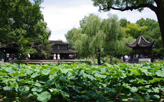 拙政园为什么是园林之首,中国四大名园之一苏州的拙政园