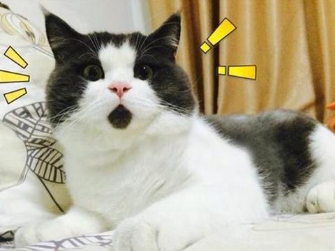 纳米技术让伤口快速愈合的凝胶,神奇胶水60秒缝合伤口