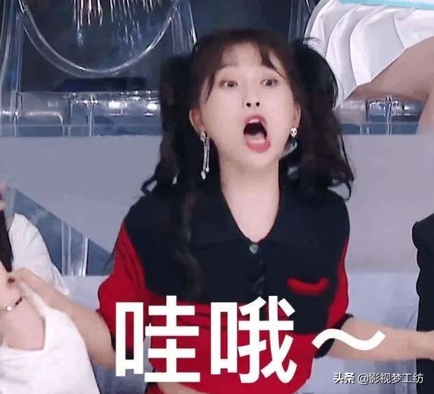 中国偶像选秀综艺,中国偶像出道历程