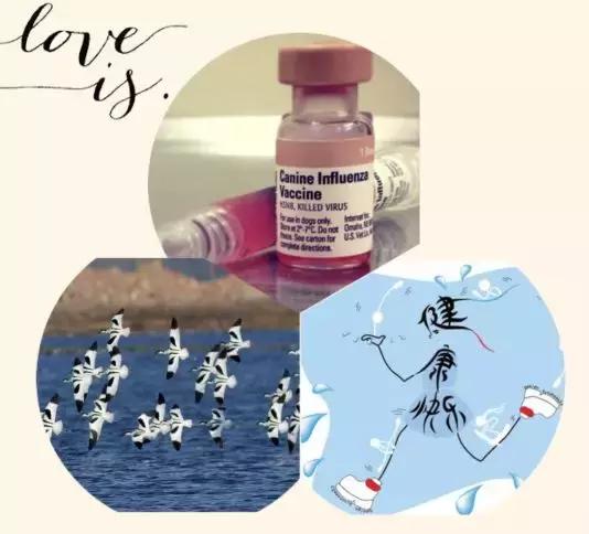 气管炎总是反反复复的是怎么回事,气管炎咳嗽有白痰是怎么回事