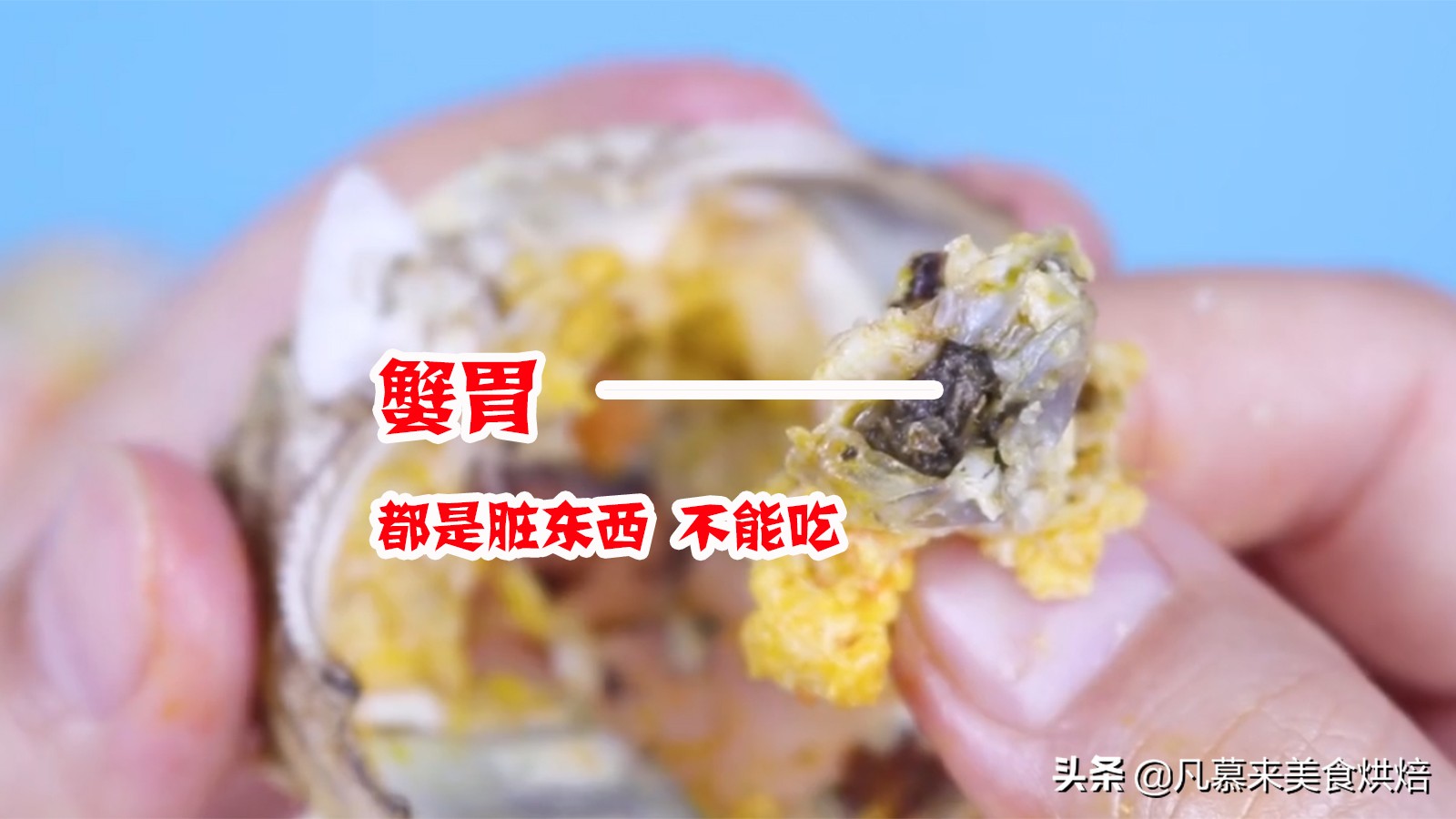 螃蟹正确吃法教学视频,误吃了螃蟹不该吃的部位怎么办