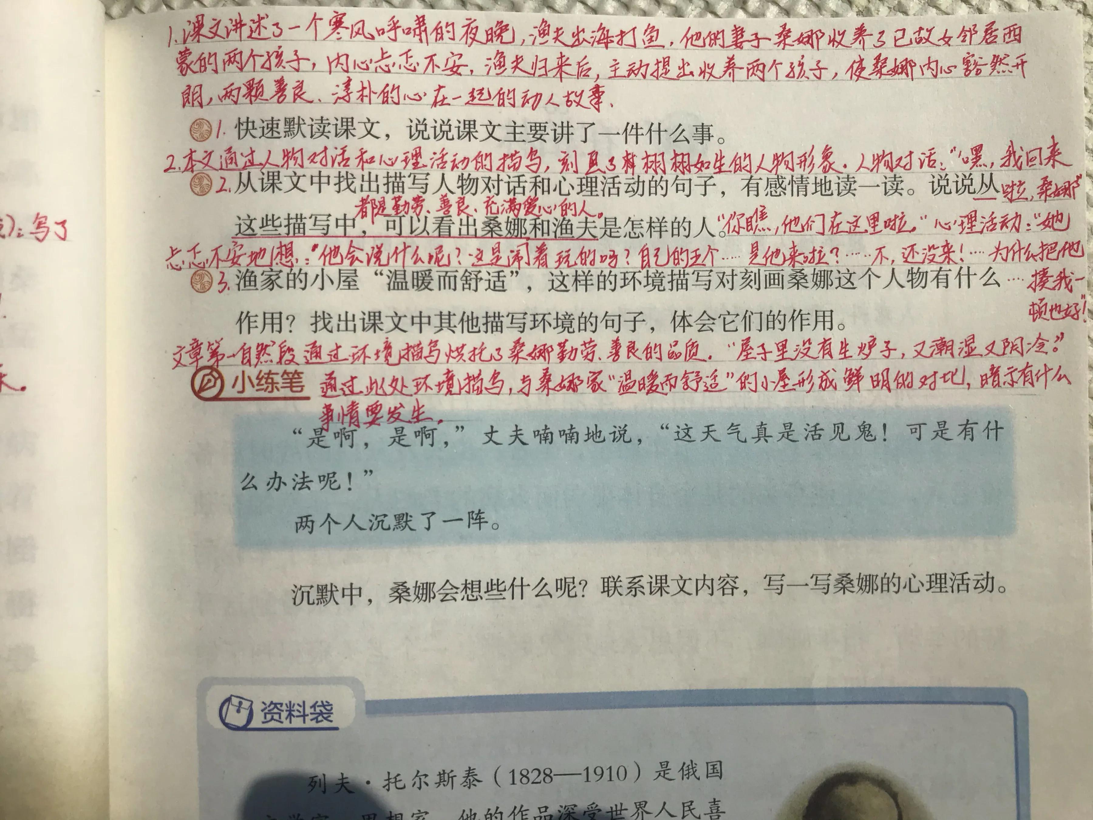 六年《穷人》，看资深教师手写笔记，帮助学生学习语文
