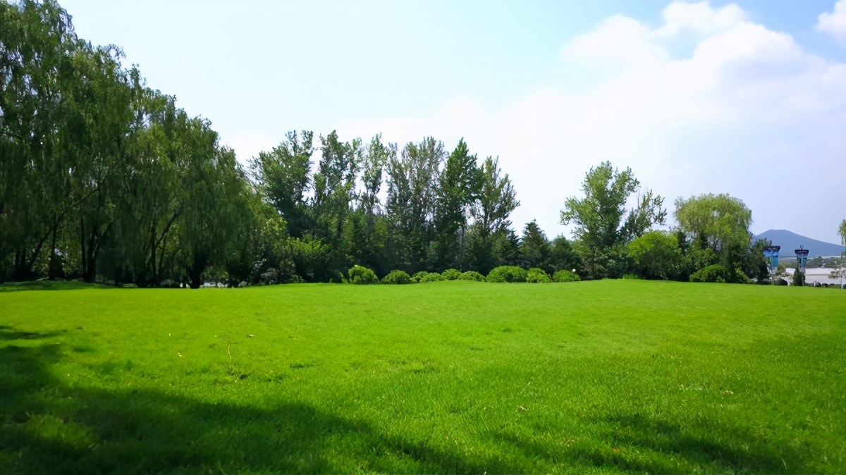 南京园林草坪养护,小区园林绿化草坪养护