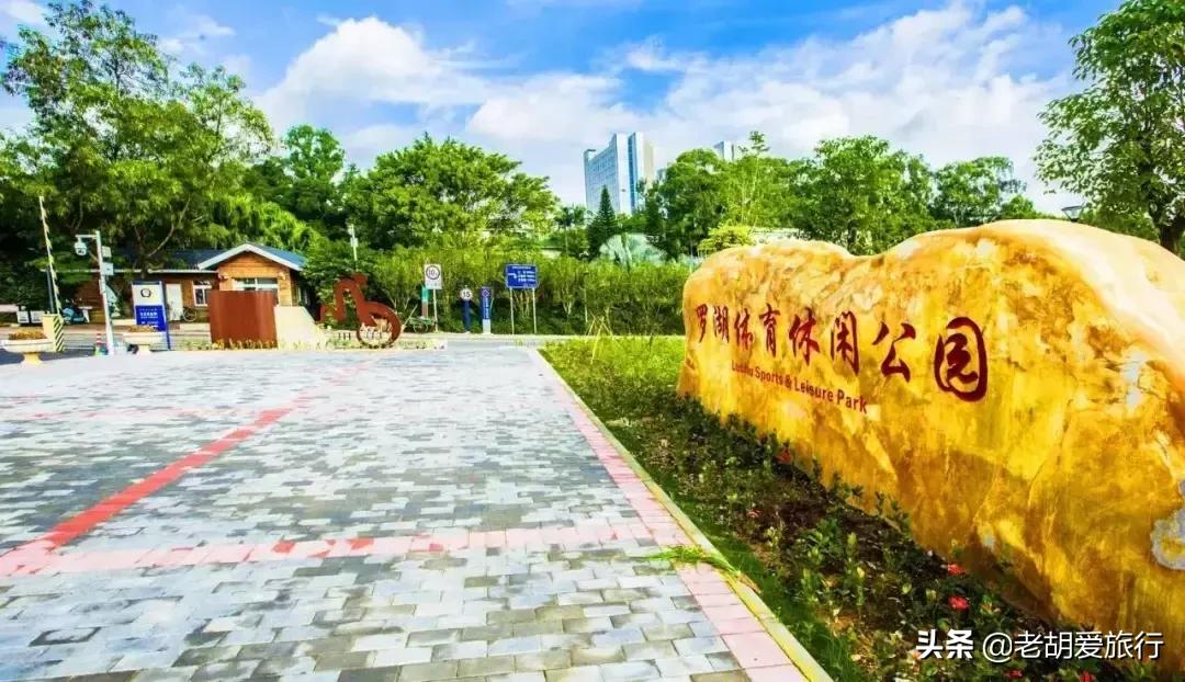 深圳周末春游好去处,深圳春游赏花去哪里好