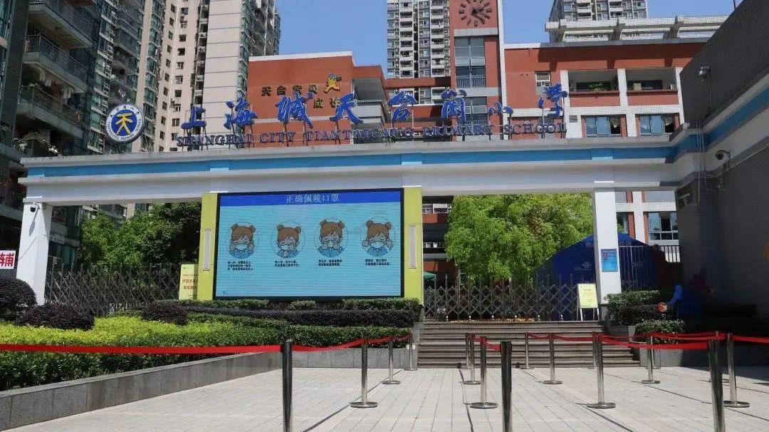 南岸区教育集团有哪些,南岸区小学汇总