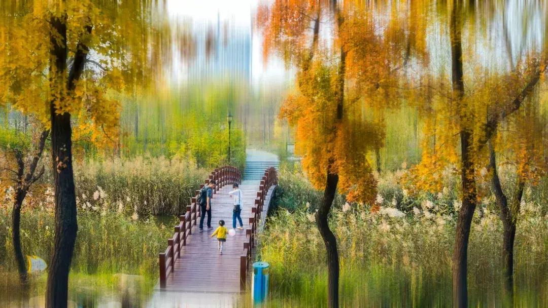 潍坊月亮湾风景区,潍坊月亮湾沙滩