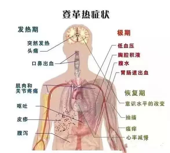 一个月疫情的死亡率,近一个月疫情有多少人死