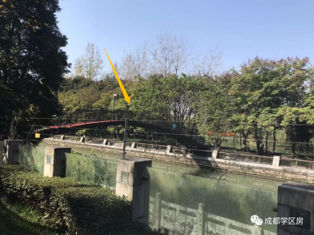 成师附小分校有哪些,成师附小哪个分校最好