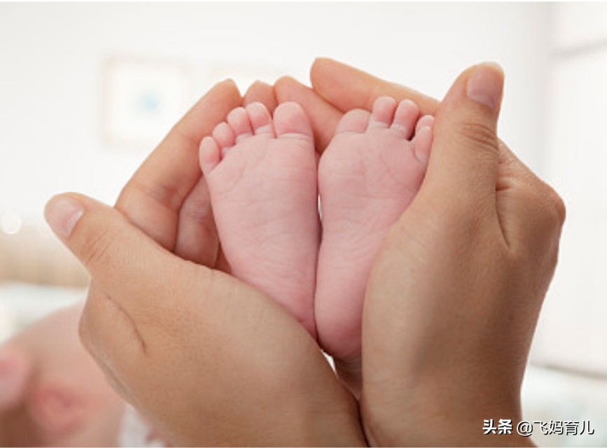 9个月的婴儿应该怎么养,九个月宝宝的培养方式