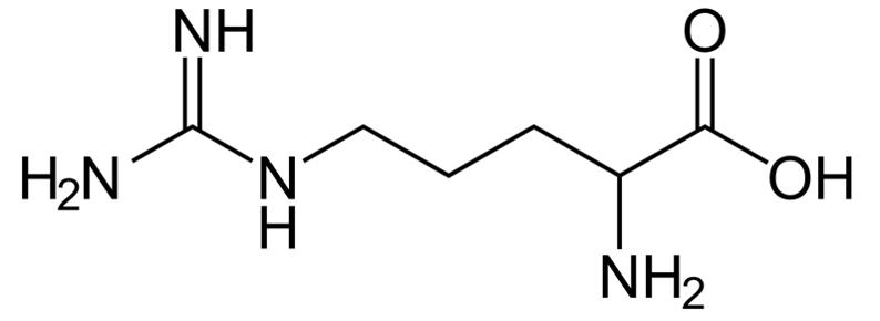 吃含精氨酸的食物有哪些,精氨酸和癌症