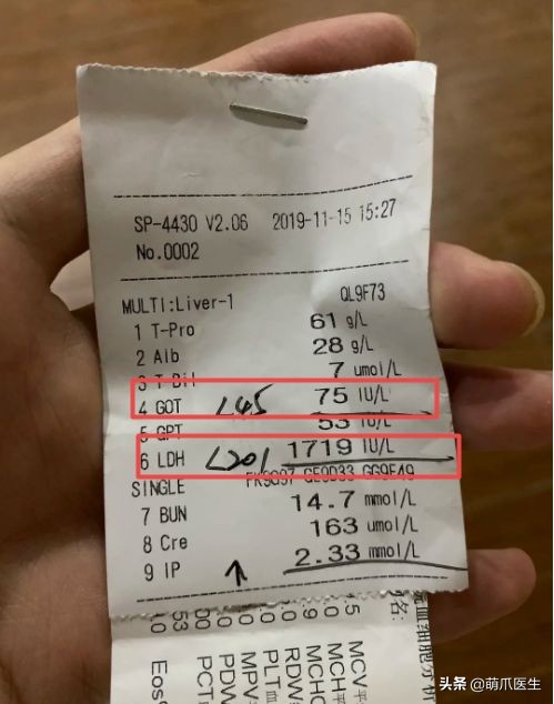 go猫粮吃了拉黄水,go猫粮吃了会黑下巴吗