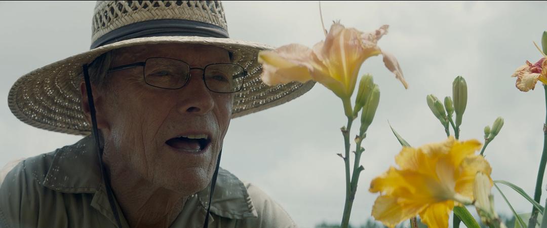 他有5座奥斯卡奖杯，新作票房却只有几百万