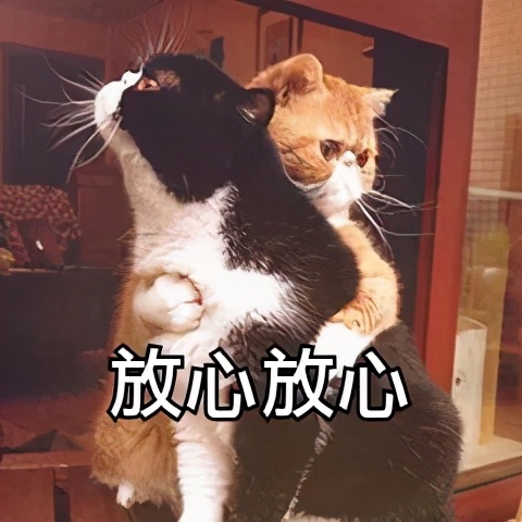 1岁宝宝有寄生虫的表现,关于宝宝感染寄生虫