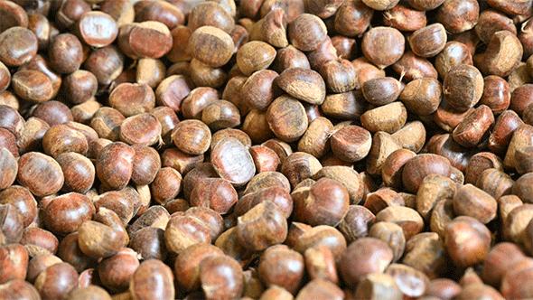 粒上皇香甜板栗,粒上皇25元现炒板栗团购价15.9元