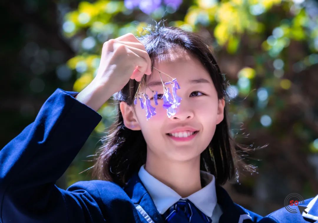 校园|遇见.初夏属于十中的紫色烂漫