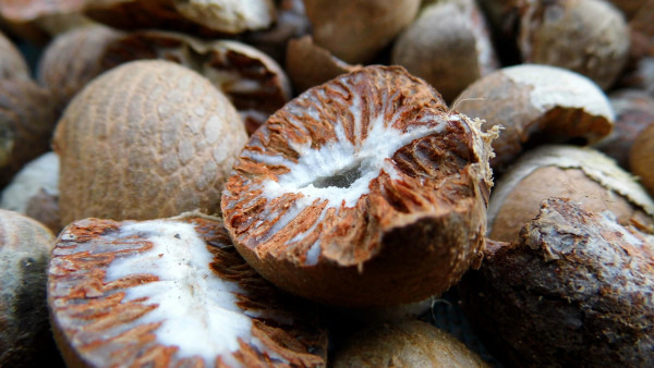 槟榔十三味丸的副作用,槟榔四消丸有副作用吗