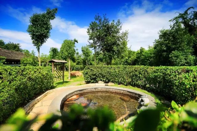 福建连城天一温泉,龙岩连城天一温泉度假村