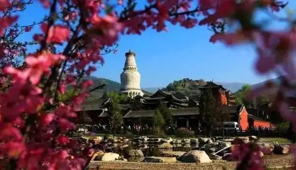 杨五郎为何到五台山龙泉寺出家,五台山的杨五郎正史是否真实