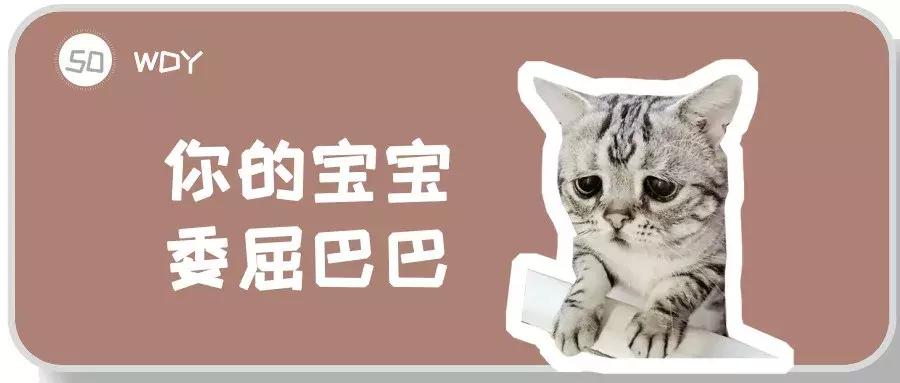 导致猫咪死亡率最高的疾病,猫咪尿道感染是什么原因引起的