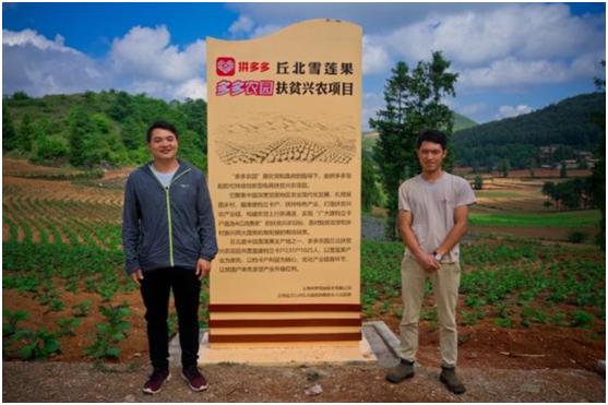 两周卖出30吨！拼多多上一夜爆红的水果，网友却因为名字吵翻了天