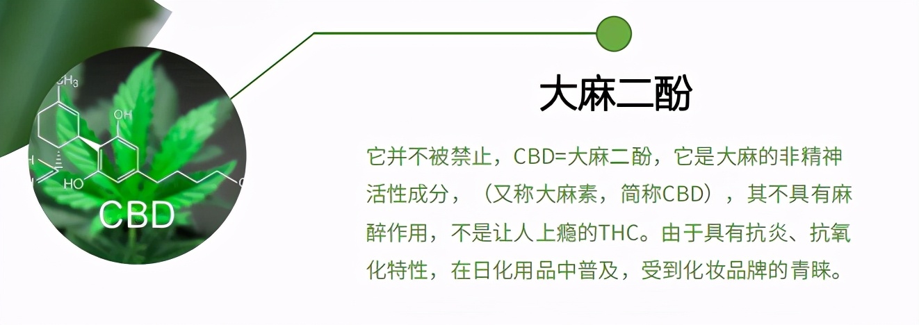 “口腔溃疡终结者”Biclean麻牙牙膏,您的口腔管理专家