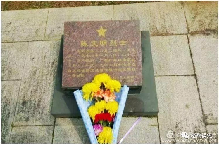 军旗下的红十字全集,军旗下的红十字作者杜冬云