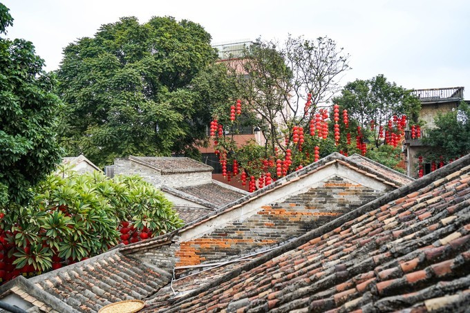 广东顺德美食旅游攻略学生,顺德自驾这份美食攻略要收好
