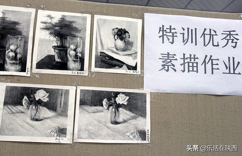 零基础美术生能逆袭上心仪的理想大学？西安丹青易考，了解一下