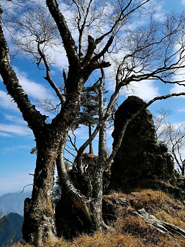 20201101惊悚之行~首阳山大坪梁单日横穿+原返