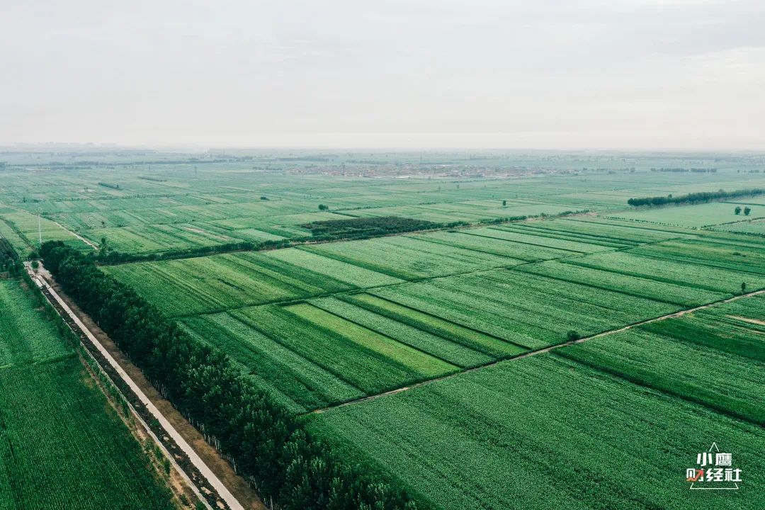 清徐酸辣口味,清徐是个温暖的城市