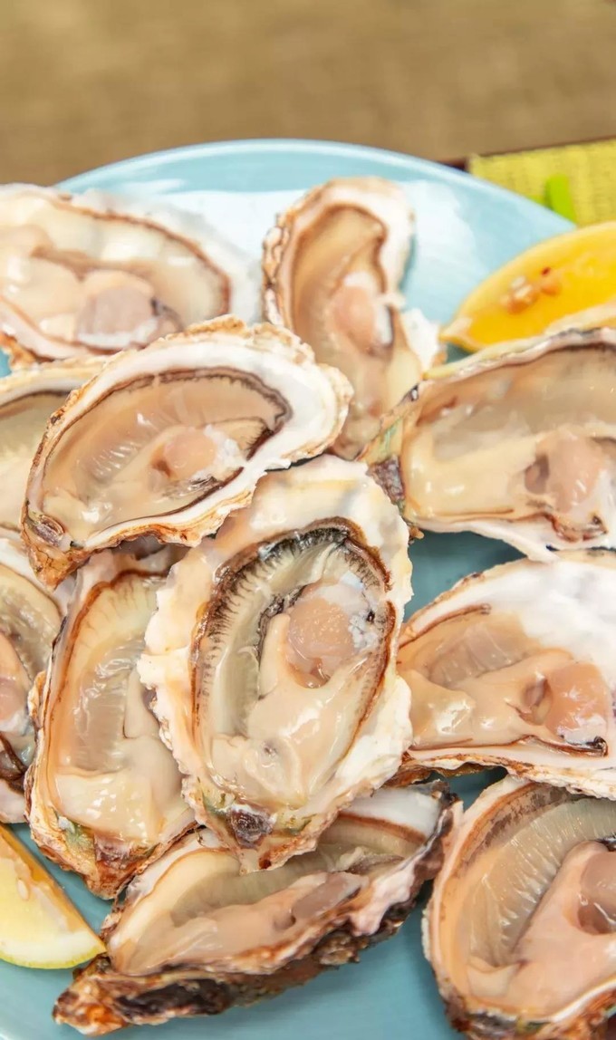 2023年厦门自由行热门攻略,厦门春节旅游攻略自由行最佳路线