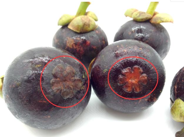 山竹又贵又少,贵的山竹跟便宜的山竹有什么区别