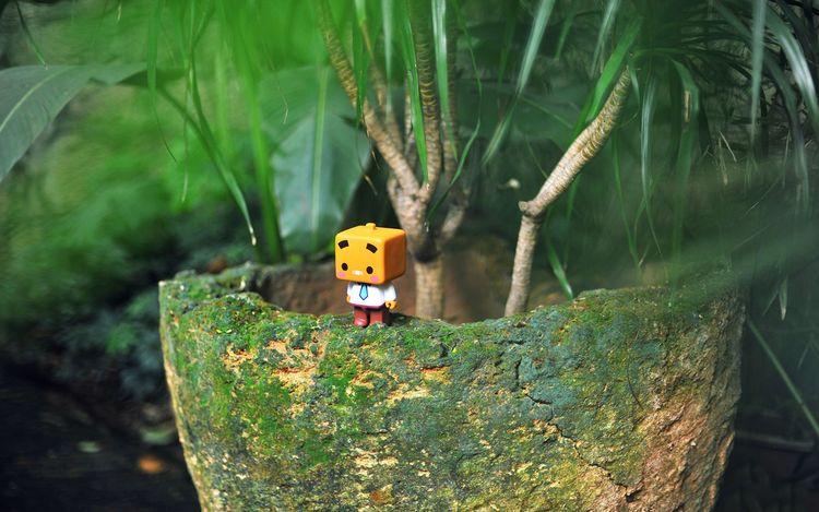 星座中爆发力最强的几个星座,天生优秀这三大星座堪称上帝宠儿