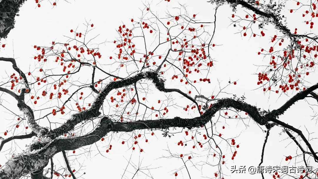 唯君粲丹实，独挂秋空明