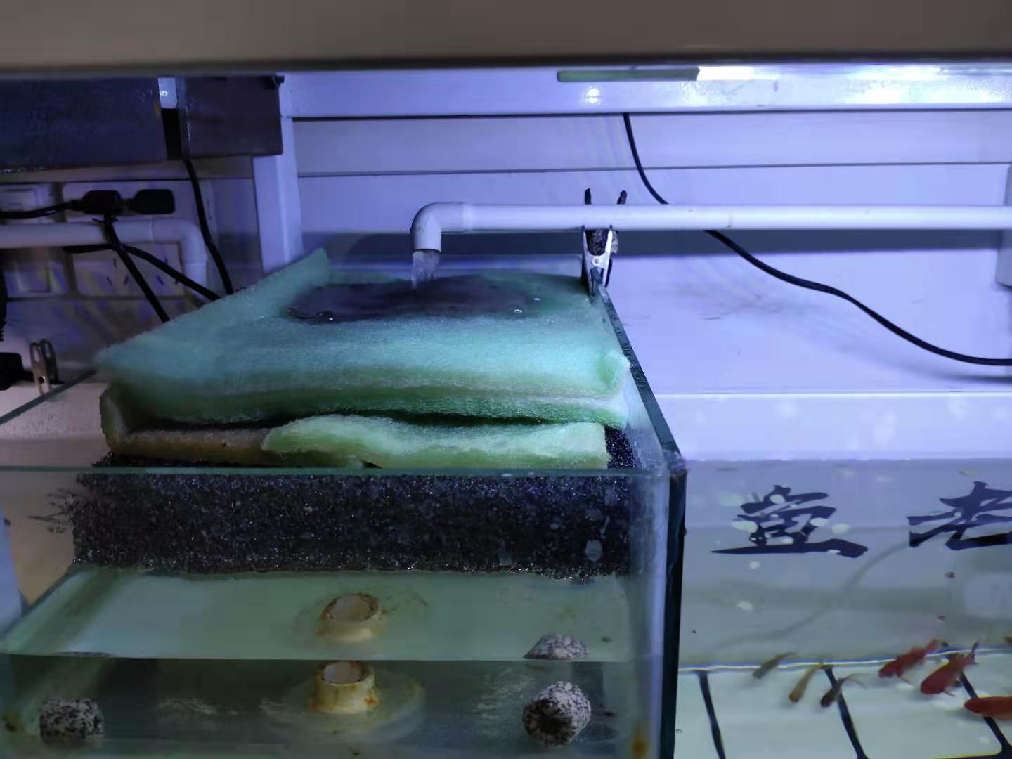 鱼缸生化棉可以不放吗,鱼缸用生化棉好还是滤材好