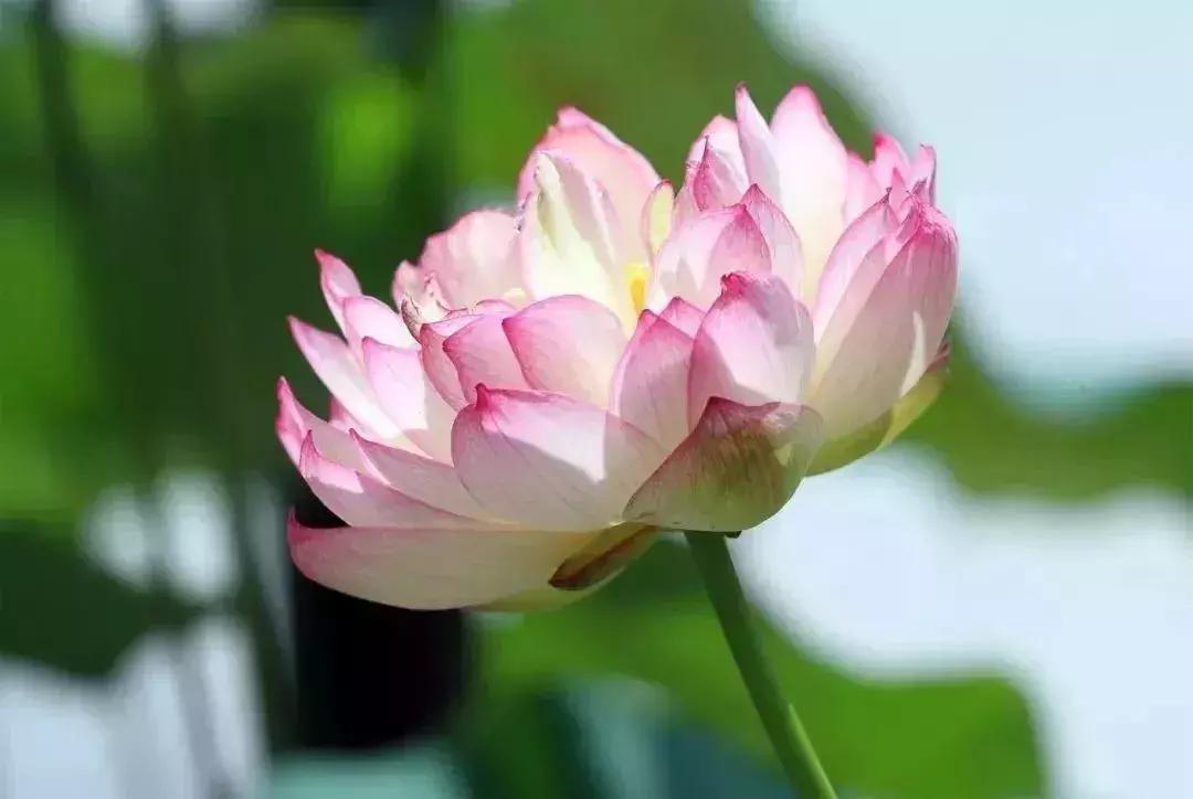 飞一般飞行感觉,飞一般的速度惊艳全场