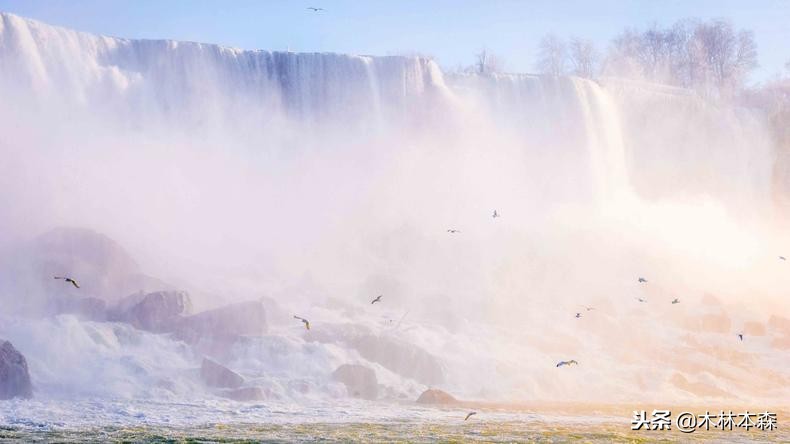 加拿大多伦多生活日记,加拿大多伦多留学生活纪实