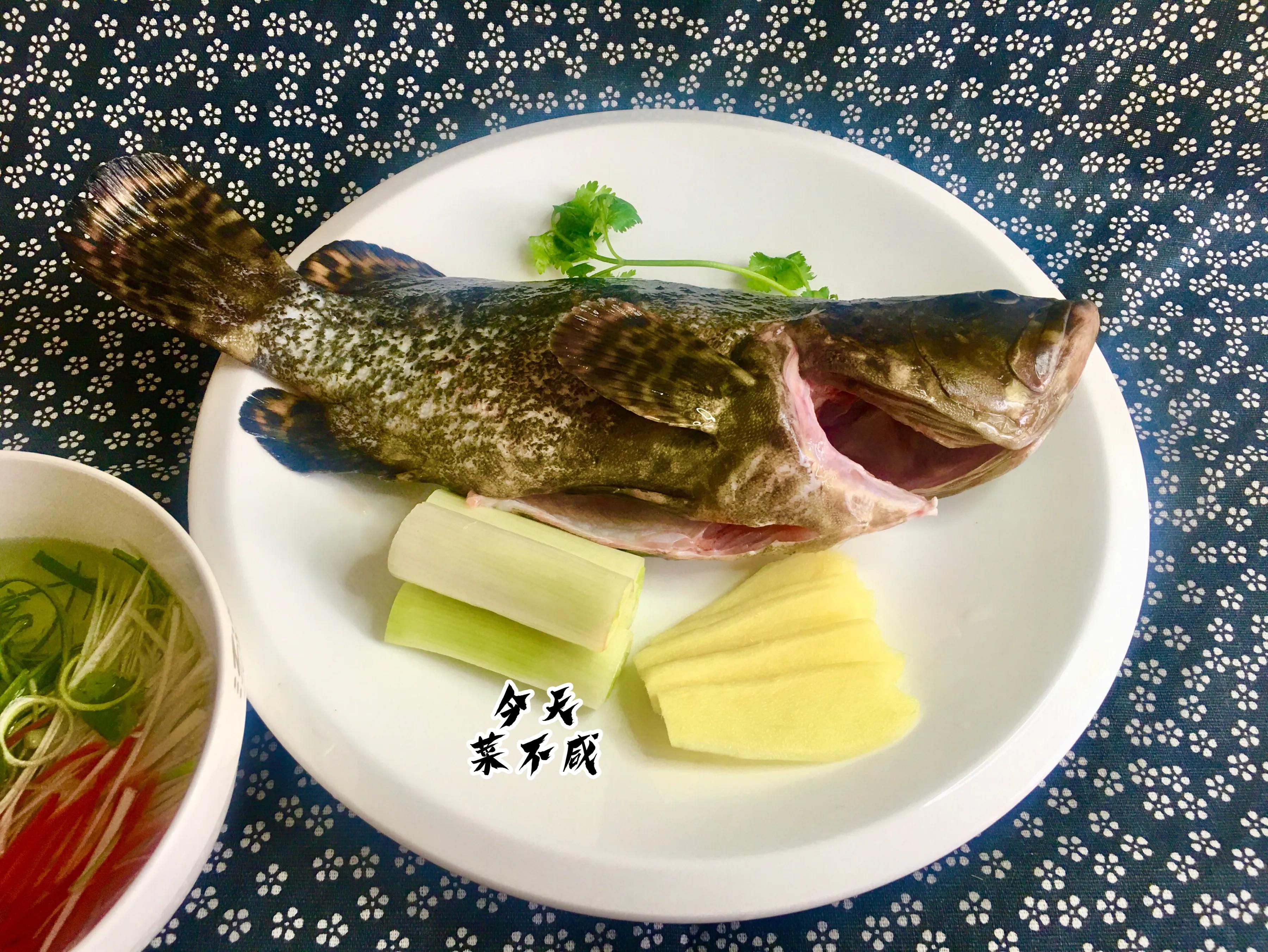 石斑鱼先倒蒸鱼豉油还是先泼油,清蒸鱼石斑鱼放什么调料