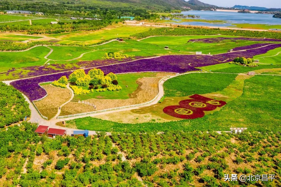 北京庆七一花坛摆放图片,北京长安街迎国庆立体花坛亮相