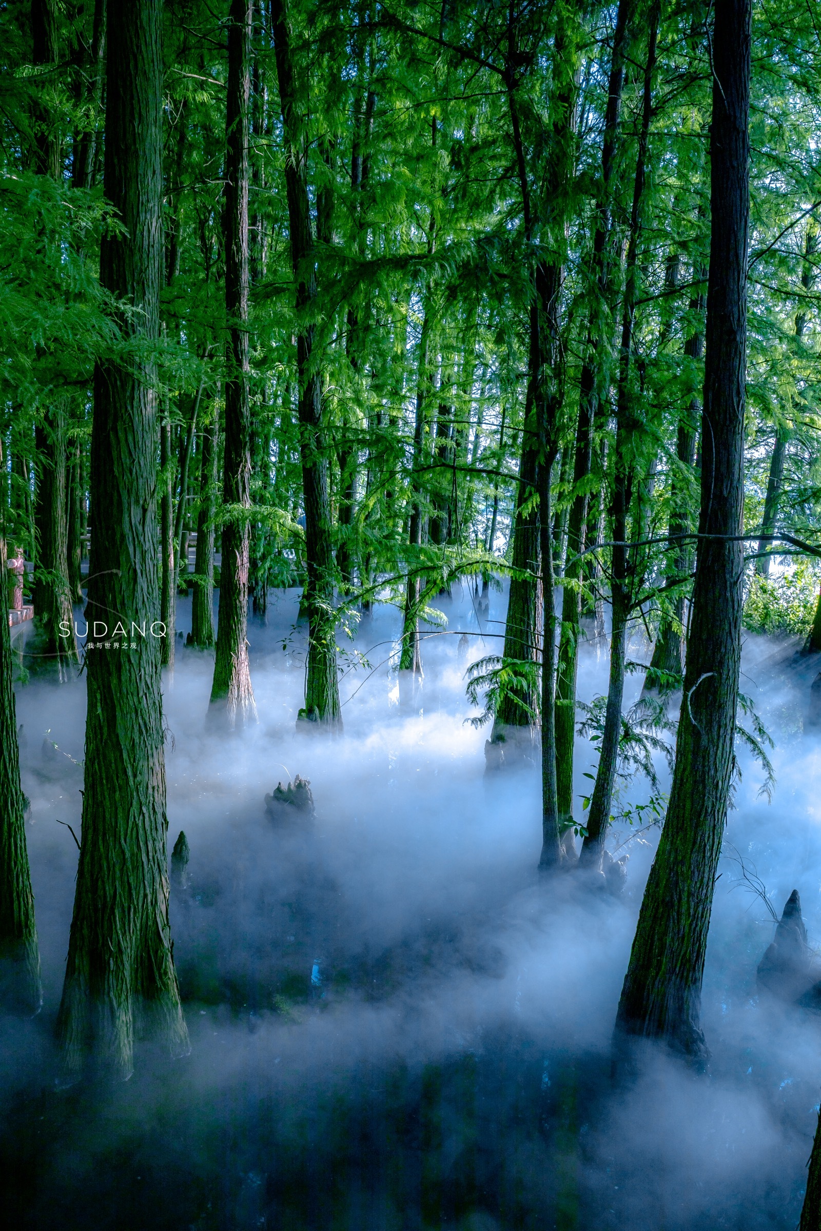 武汉这座城市有什么特点,一句话点评武汉楼市