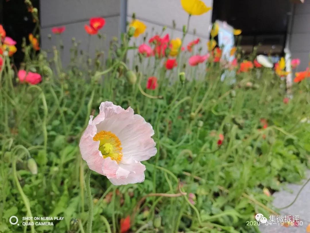 努比亚play和红米note10pro哪个好,努比亚play详细细节测评