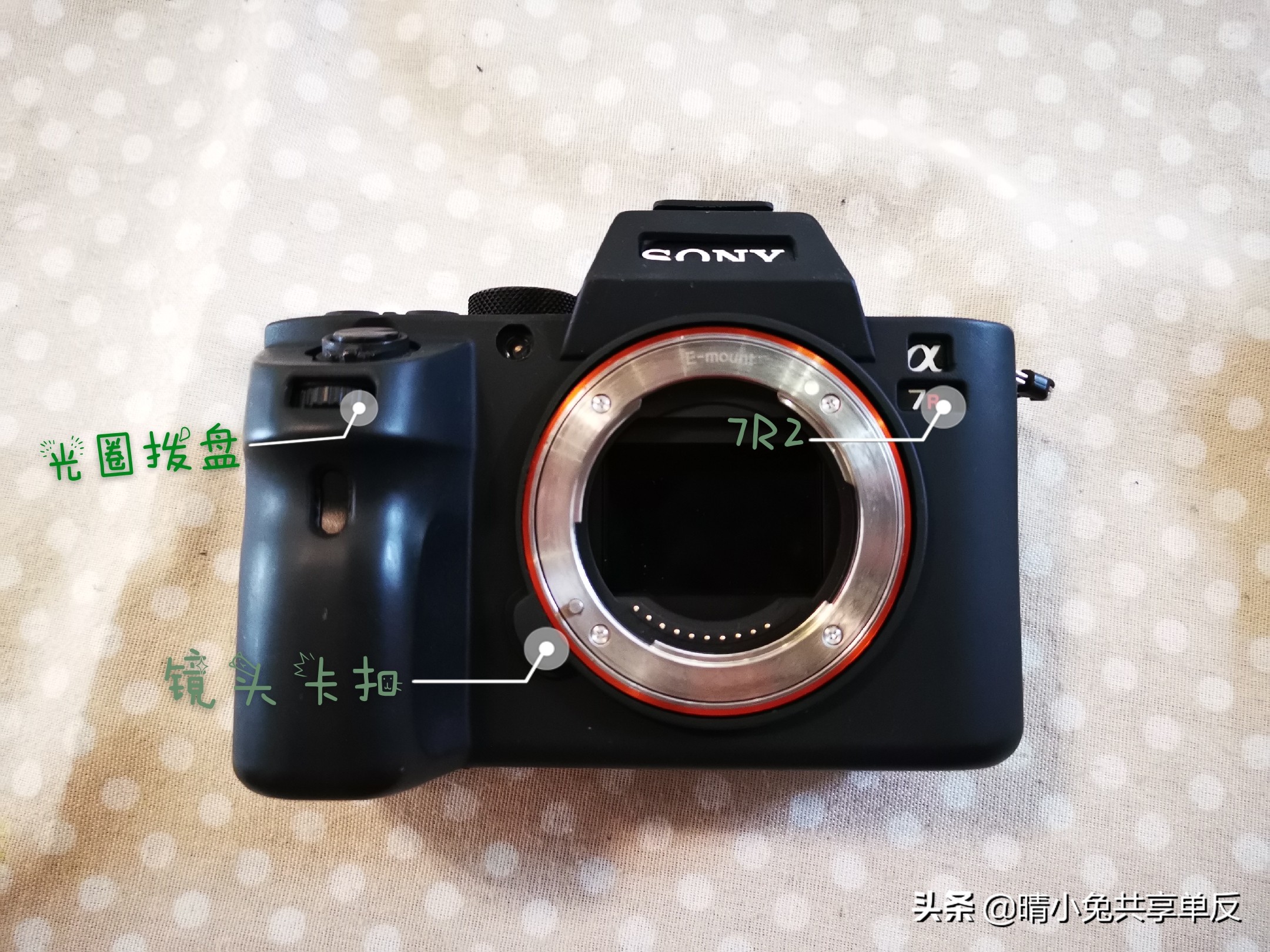 索尼a7r2配佳能70200的镜头,索尼a7r2搭配佳能单反镜头