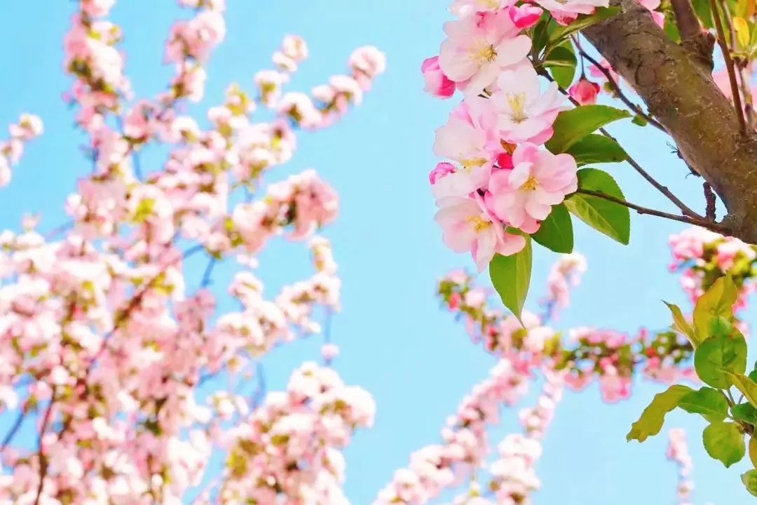 中国民航大学，是时候火了